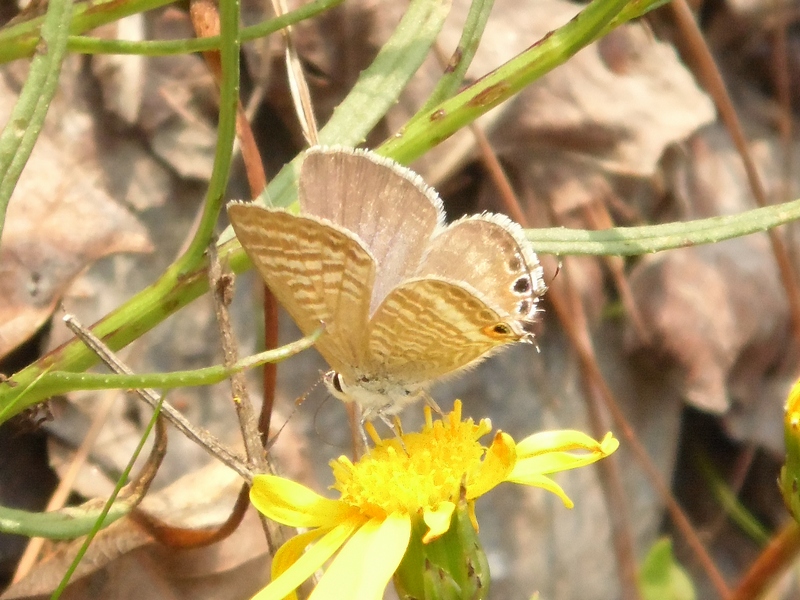 Parco del Ticino 6.10.12